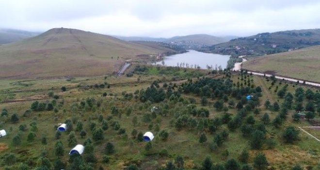 1500 Rakımlı Yaylaya Arap Turist Akını