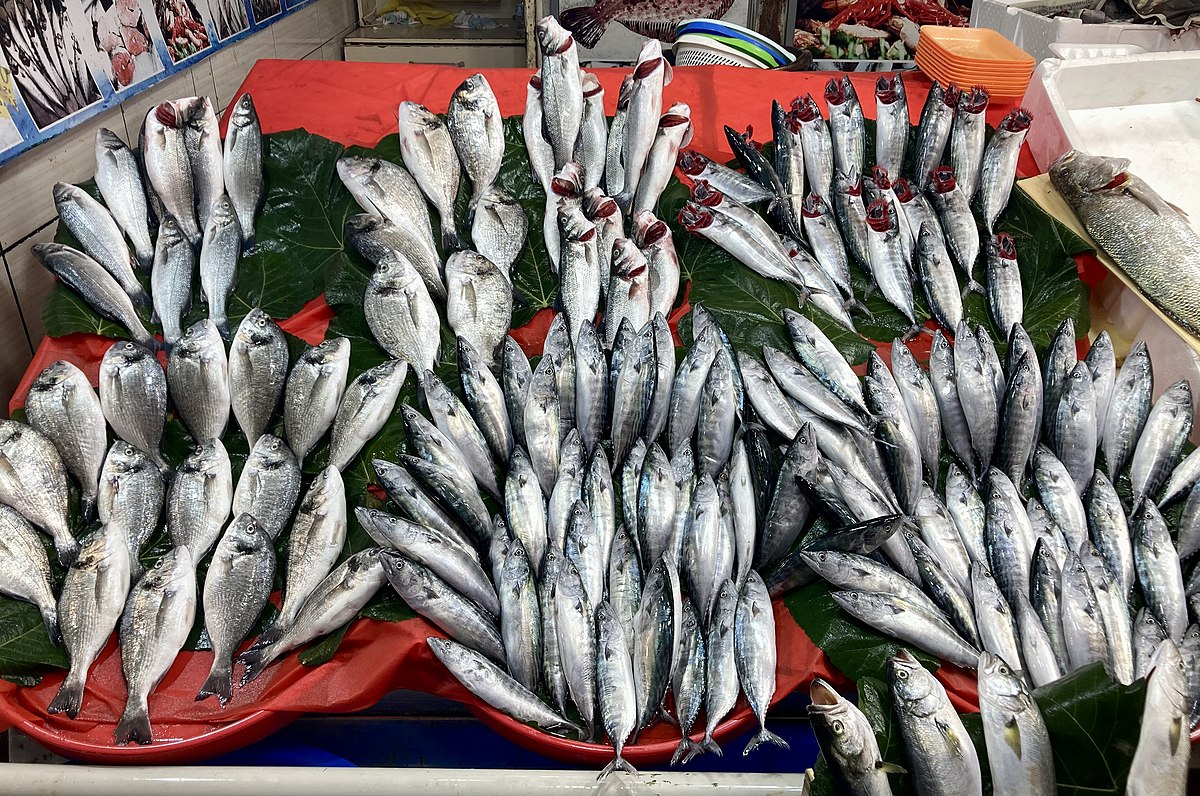 Ordu’da Balık Fiyatları Nedir? 9 Ocak 2025 Tezgahlarda Şenlik Var Ordu’da Balık Fiyatları Nedir? 9 Ocak 2025 Tezgahlarda Şenlik Var