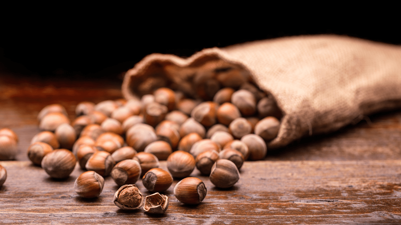 Ordu’da Fındık Fiyatları Ne Durumda? 9 Ocak 2025 Ordu’da Fındık Fiyatları Ne Durumda? 9 Ocak 2025