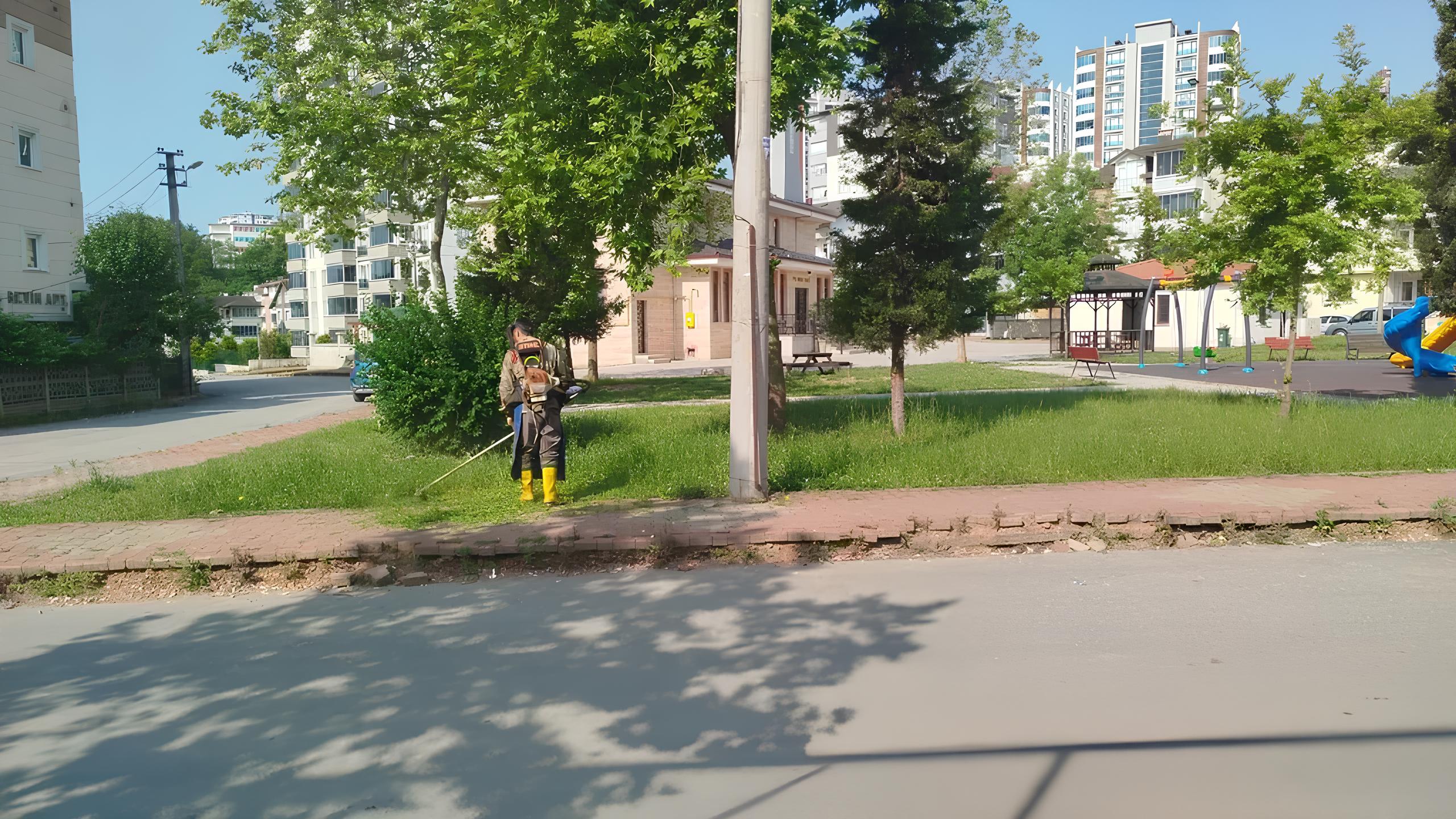 Fatsa’da Yeşil Alanlar İçin Yoğun Mesai