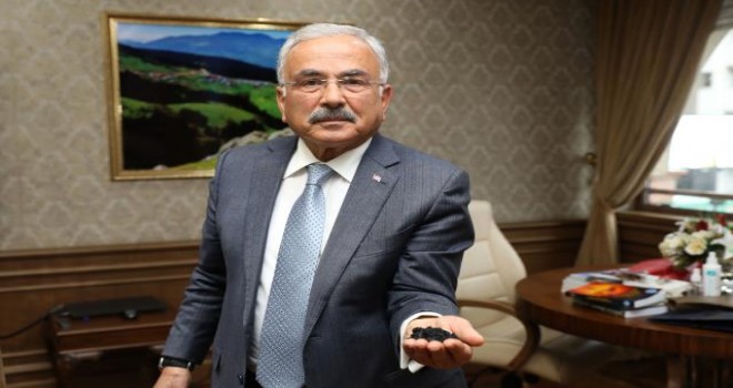 Fındık kabuğu