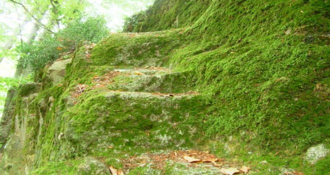 Cıngırt Mağarası’nın turizme kazandırılacak