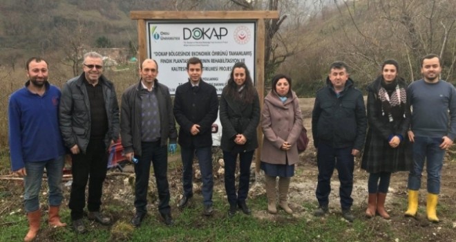 Odü'den Fındık Bahçelerinin Yenilenmesine Bilimsel Destek