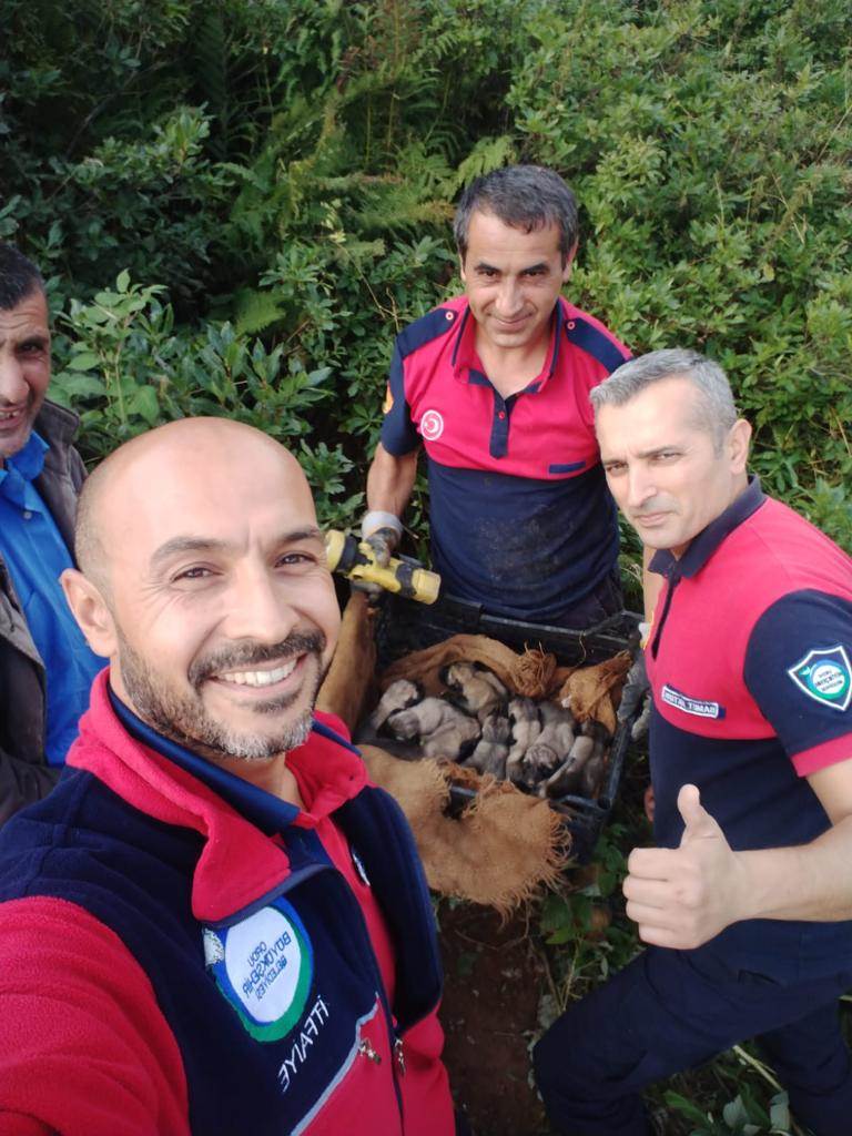 Ordu İtfaiyesi 7 Köpek Yavrusu İçin Seferber Oldu
