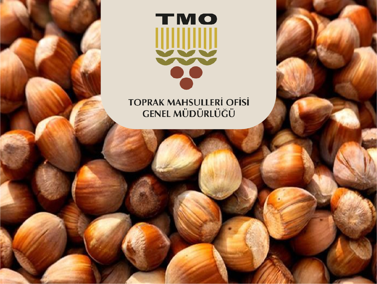 TMO'nun Belirlediği Fındık Alım Tarihleri