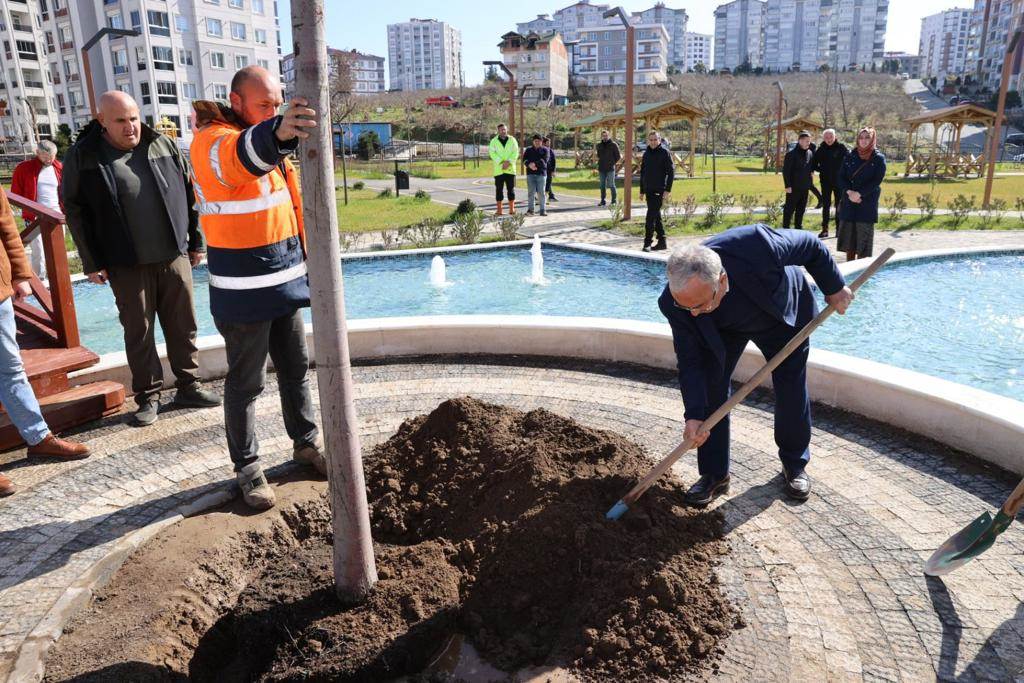 Büyükşehirden Yeşil Seferberlik