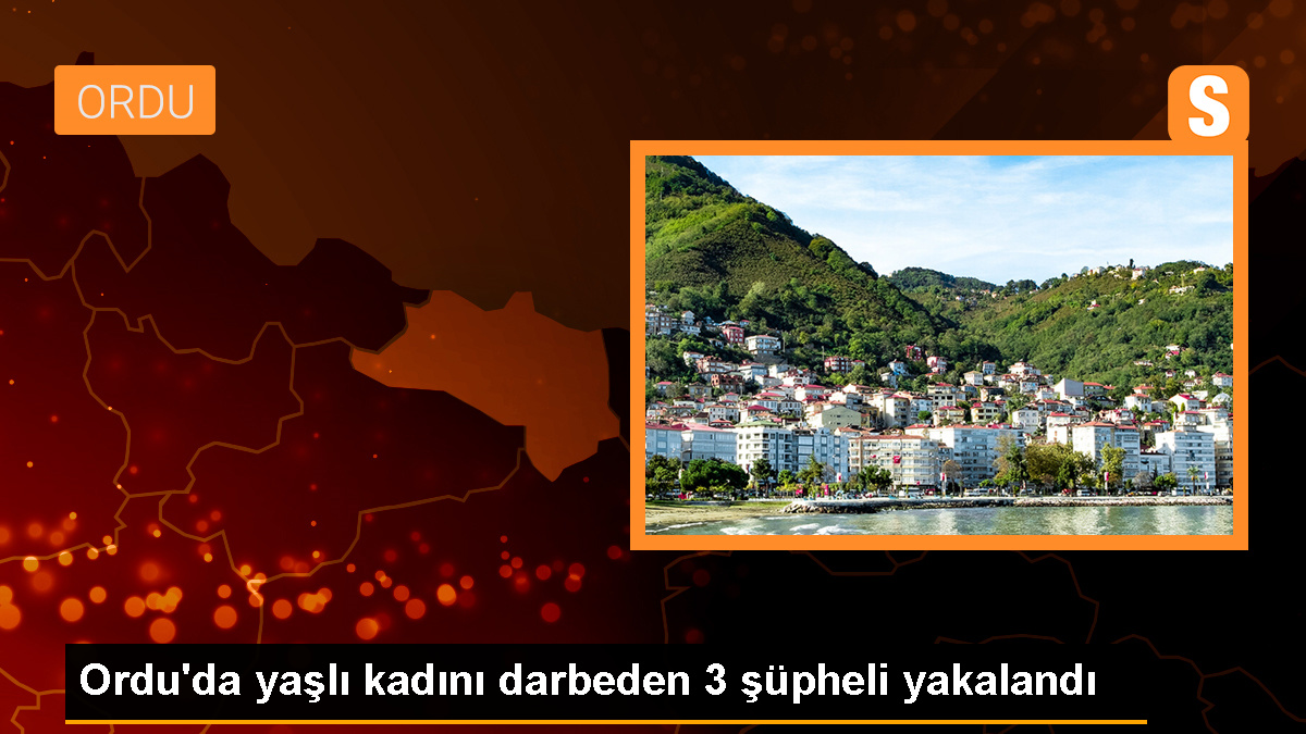 Ordu'da yaşlı kadının yaralandığı tartışmada 3 şüpheli gözaltına alındı