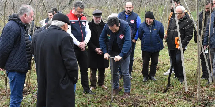 Fındıkta bir devir kapanıyor! Üreticiler bu yöntemlerle verimi artırıyor