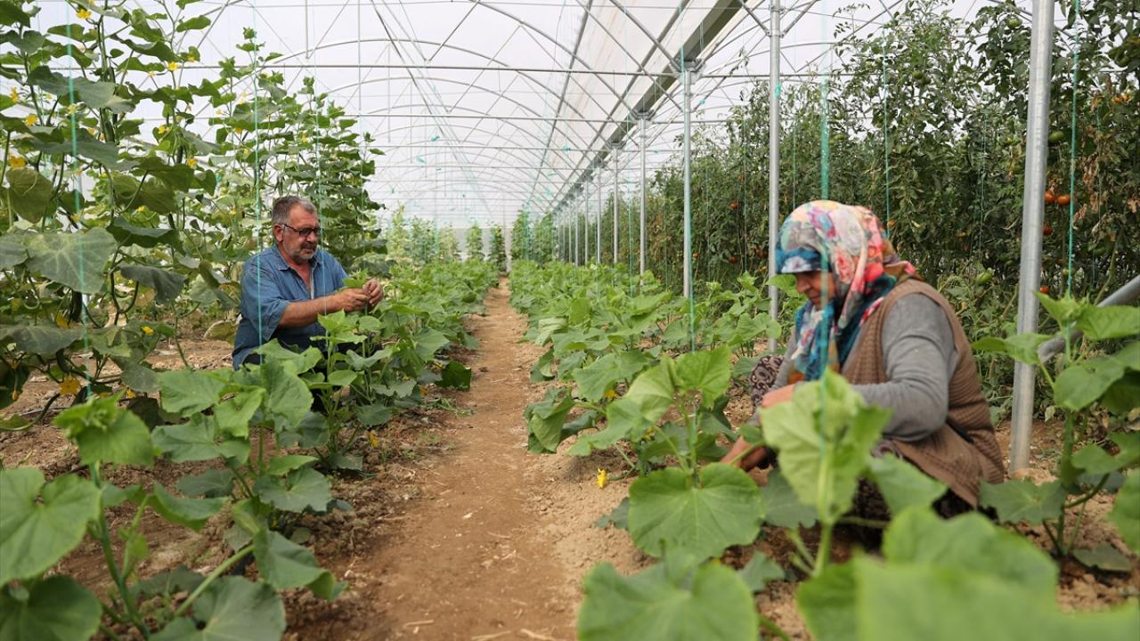 Doğal üretimle geçinen çift bahçesini devlet desteğiyle geliştirdi