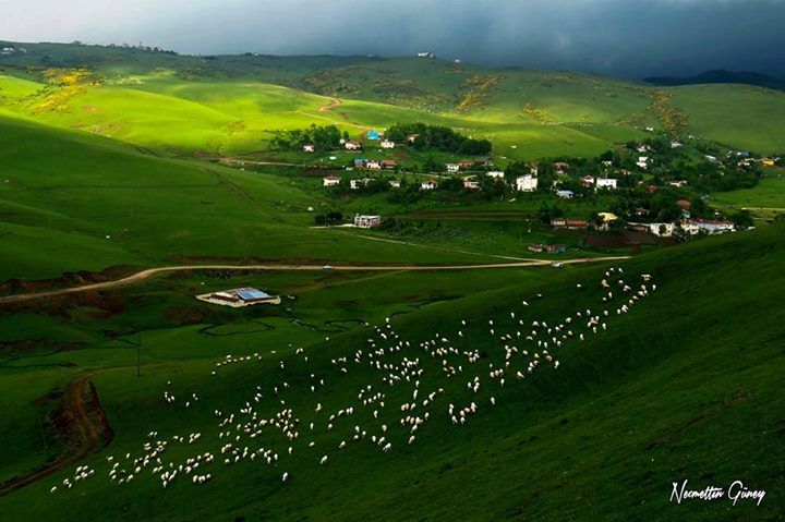 Ordu Korgan Yaylası’nda Sondaj Çalışmalarına Halktan Büyük Tepki