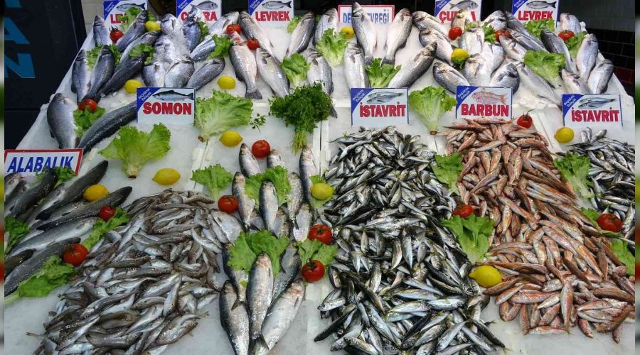 Ordu Balık Fiyatları