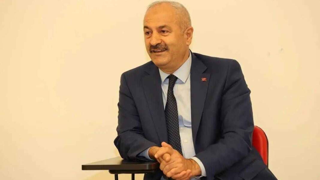 Zehirli Mamalar ve Zehirsiz Bahaneler: Gebze Barınağı’nda Trajikomik Katliam Skandalı