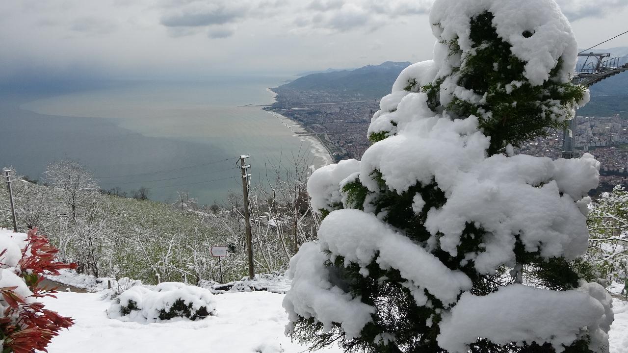 Ordu'da Kar Tatili: 25 Kasım 2024 Pazartesi Günü Eğitime Ara Verildi