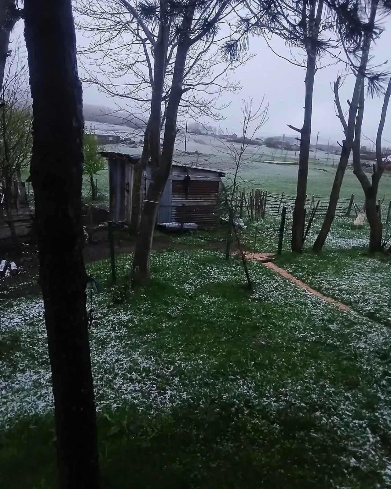 Ordu'ya Mayıs Ayının Ortasında Kar Yağdı!