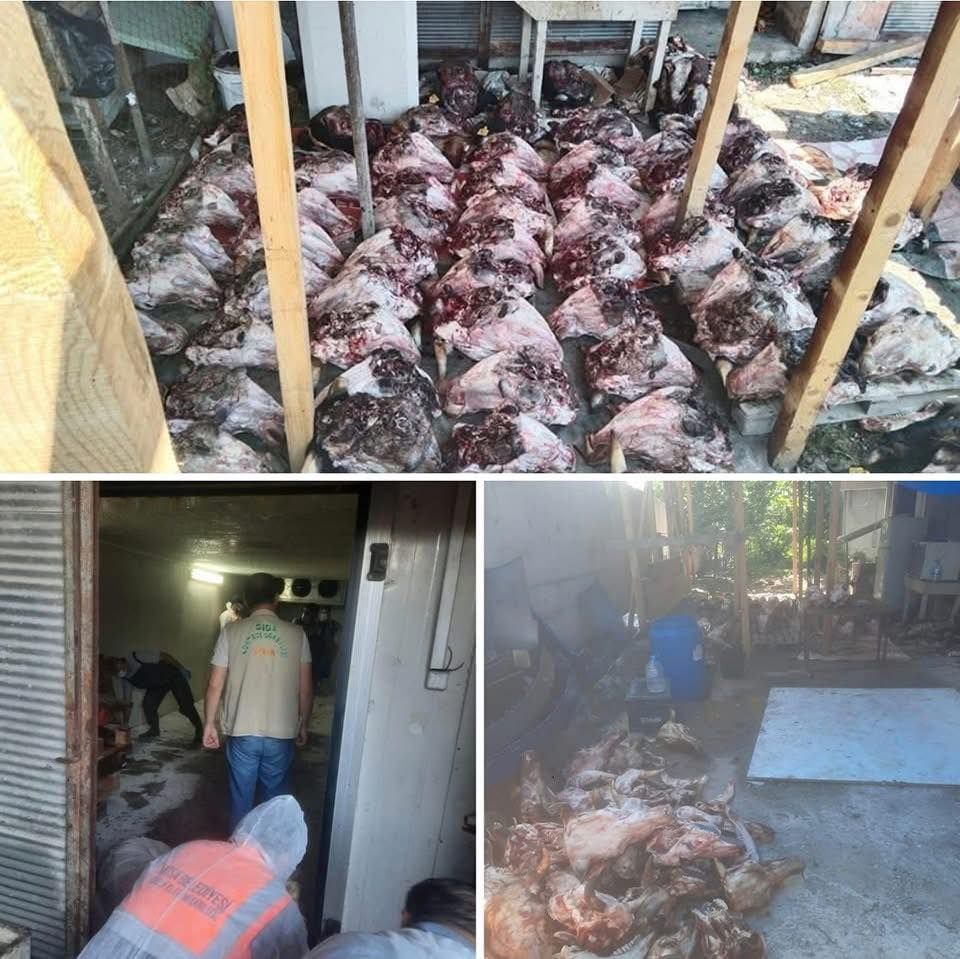 Koku Geldi, Skandal Patladı: Ordu’da Bozulmuş Et Operasyonu