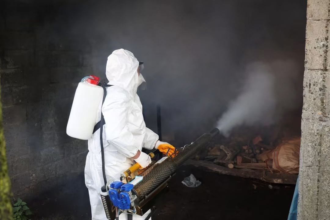 Ordu’da kahverengi kokarcaya karşı kışlak seferberliği: 300 bin noktada ilaçlama planı