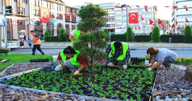 Ordu'da Çiçekler Açtı