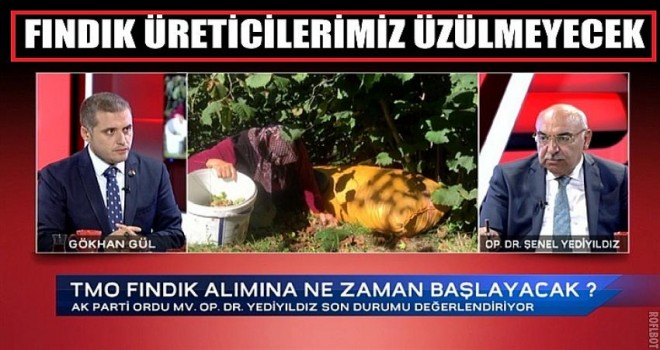 Fındık Üreticisinin Beklediğinden Yüksek Fiyat Verilecektir.