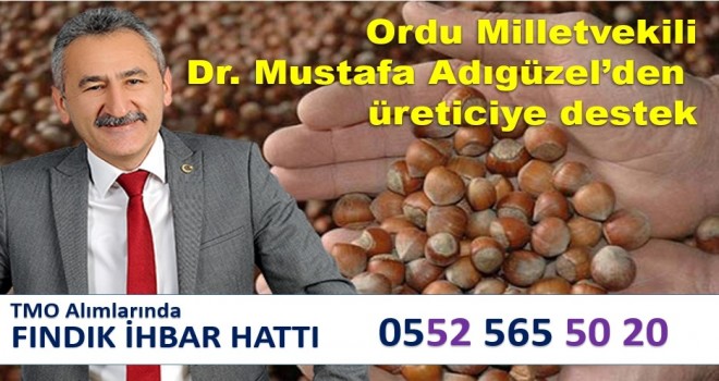 Adıgüzel'den Üretici İçin Fındık İhbar Hattı