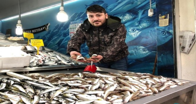 Tezgahlarda Soğuk Hava Bereketi