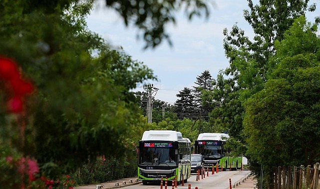 800CK'da tüm yollar Kandıra sahillerine çıkacak   