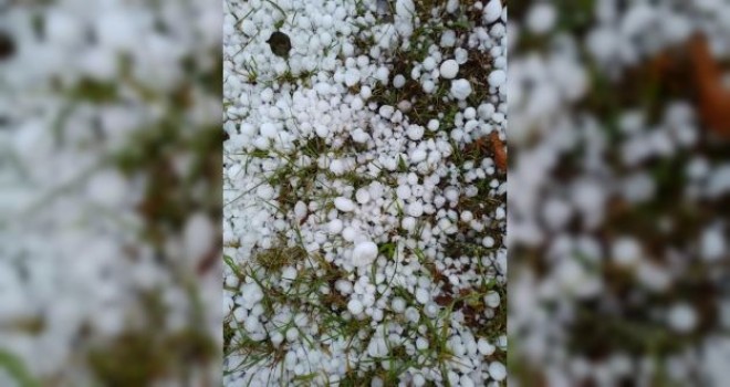 Ordu'da Dolu Hasarı Giderildi