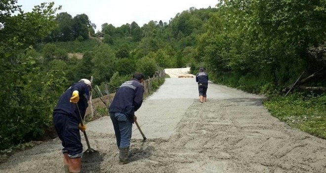 Ordu'da Yol Çalışmaları