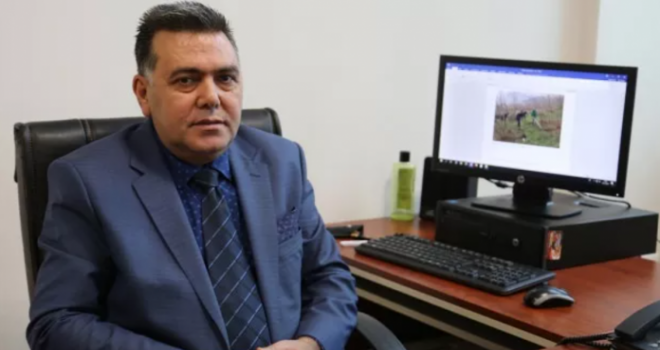 Çinkolu Gübre Fındık Verimini Yüzde 25 Arttırıyor