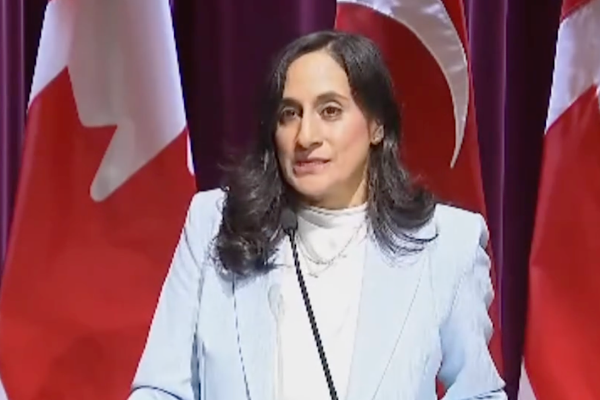 Anand: Rusya’nın Ukrayna destekçilerini bölme çabasına izin vermeyeceğiz