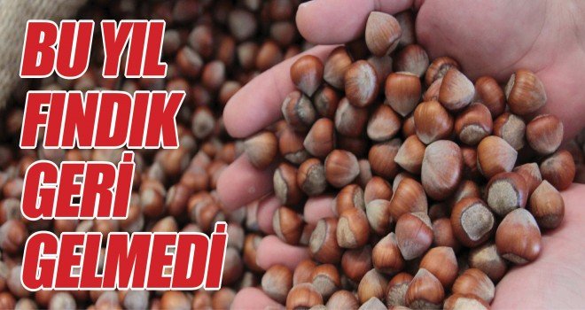 Bu Yıl Fındık Geri Gelmedi