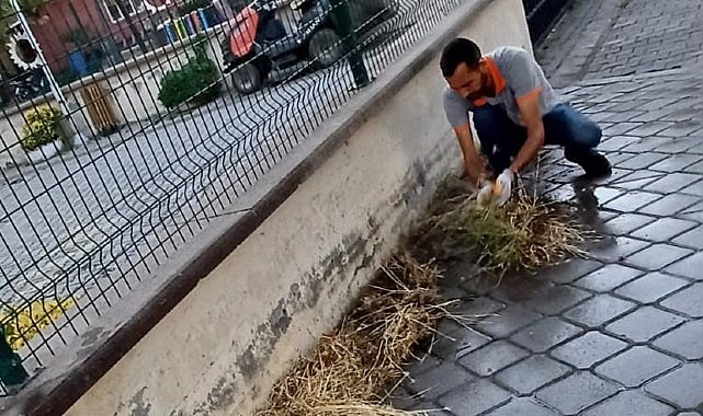 Burhaniye'de Mazgal Temizliği Çalışmaları Titizlikle Sürüyor