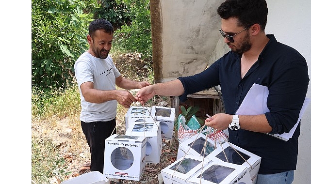Büyükşehir'den 800 dekar araziye faydalı böcek desteği