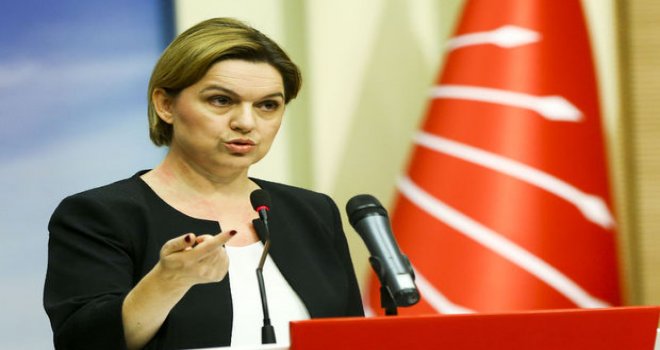 CHP Genel Başkan Yardımcısı Böke