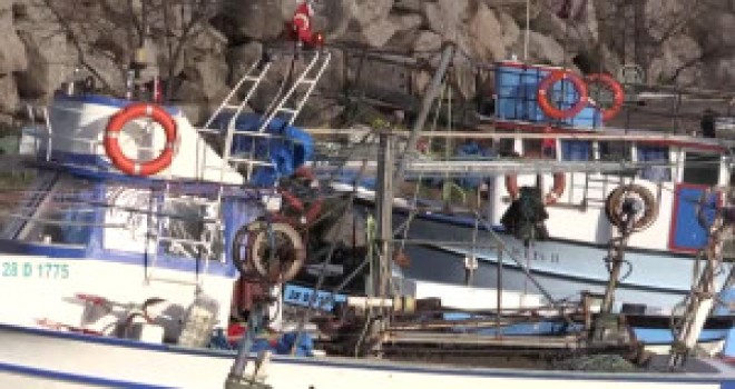 Hamsi Fiyatı Yükselmeden ve Bol İken Tüketin" Önerisi