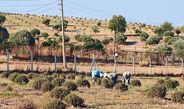 Didim Belediyesi Üretiyor, Didim Güzelleşiyor
