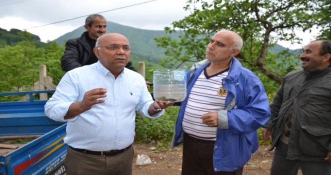 Ejderha Bulduğunu Sandı, Veteriner Gerçeği Açıkladı
