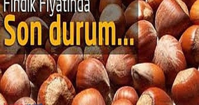 Fındık Fiyatları Güncel Samsun, Ordu, Giresun Fındık Borsası Fiskobirlik Güncel Fiyatlar - Fındık Fiyatları Ordu