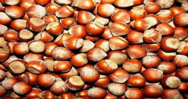 Fındık Üreticileri Kar Yağışına Umut Bağladı