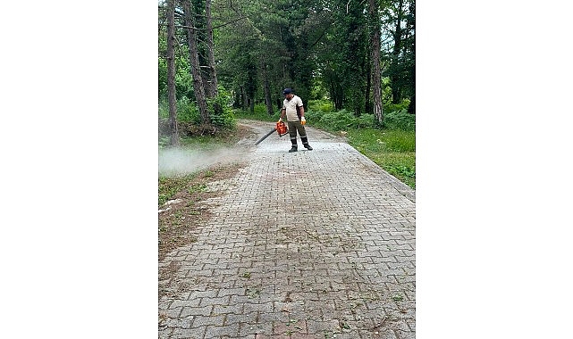 Gebze'deki mezarlıklarda yoğun mesai