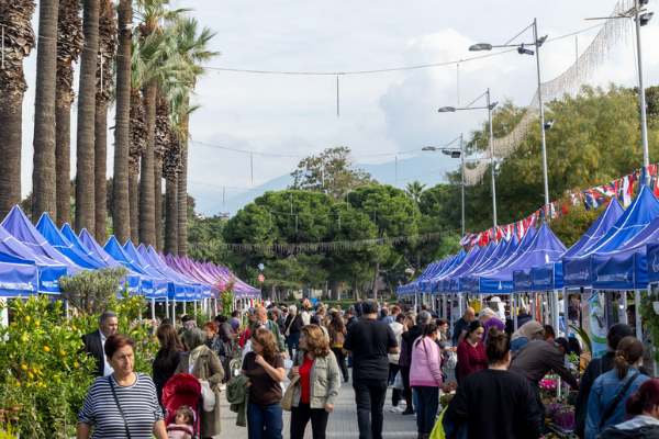 İzmir'de Balkon-Bahçe Bitkileri ve Bal Üreticileri Festivali başladı İzmir'de Balkon-Bahçe Bitkileri ve Bal Üreticileri Festivali başladı