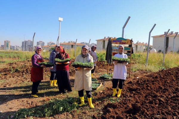 Kadın Komün Kent Bostanı’nda kışlık fideler toprakla buluştu