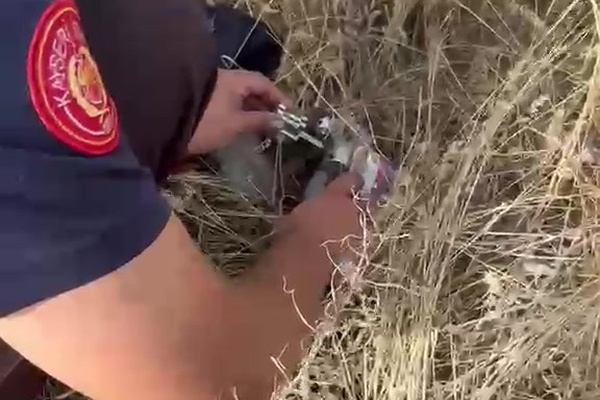 Kayseri'de kafası konserve kutusuna sıkışan kediyi itfaiye kurtardı Kayseri'de kafası konserve kutusuna sıkışan kediyi itfaiye kurtardı