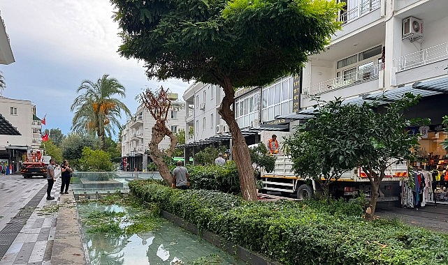 Kemer Liman Caddesi'nde kış öncesi bakım çalışması 