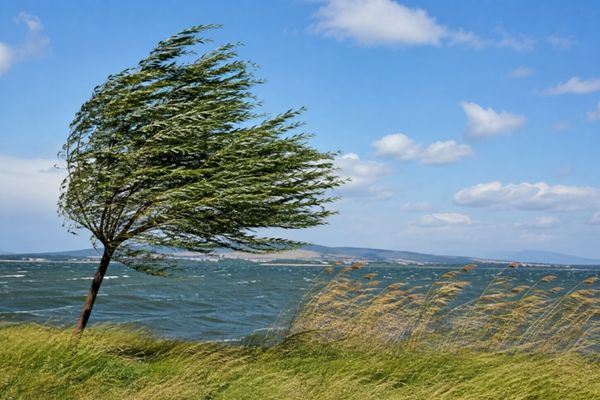 Meteoroloji’den kuvvetli rüzgar uyarısı: Hızı 60 kilometreye ulaşacak Meteoroloji’den kuvvetli rüzgar uyarısı: Hızı 60 kilometreye ulaşacak