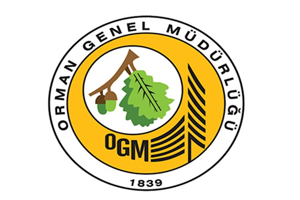 Muğla’daki yangınlar büyük ölçüde kontrol altına alındı Muğla’daki yangınlar büyük ölçüde kontrol altına alındı