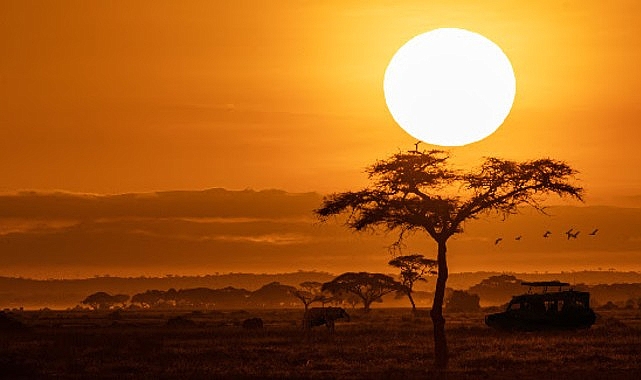 National Geographic NOW Seç-İzle Servisinin Ekim Ayı Teması 'Afrika'!
