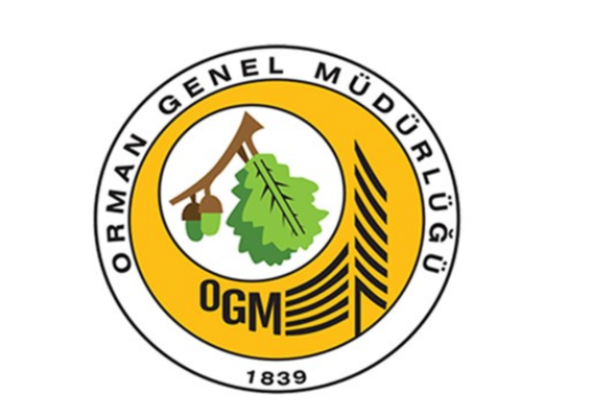 OGM: Antalya ve Adana’daki yangınlara müdahale sürüyor OGM: Antalya ve Adana’daki yangınlara müdahale sürüyor