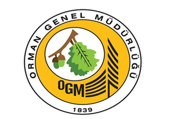 OGM: Antalya ve Muğla'daki orman yangınlarına müdahale sürüyor OGM: Antalya ve Muğla'daki orman yangınlarına müdahale sürüyor