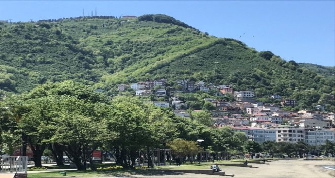 Ordu'da Çılgın Proje
