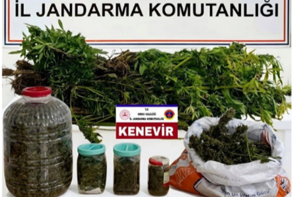 Ordu’da uyuşturucu operasyonu Ordu’da uyuşturucu operasyonu